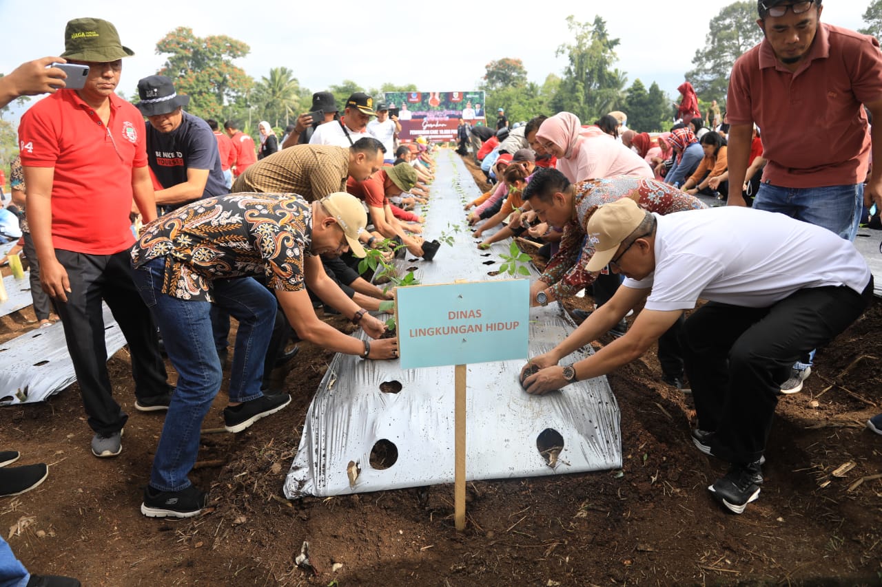 Asripan Nani Canangkan Gerakan Penanaman 10.000 Pohon Cabai ASN Pemkot Kotamobagu