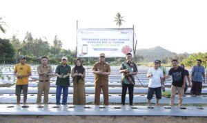 Pj Wali Kota Kotamobagu Tanam Cabai Rawit Teknologi Digital Farming