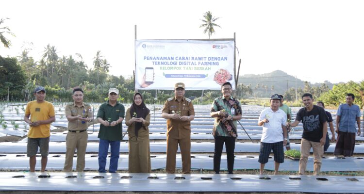 Pj Wali Kota Kotamobagu Tanam Cabai Rawit Teknologi Digital Farming