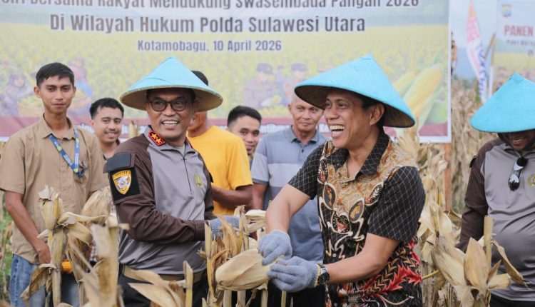 Pemkot Kotamobagu dan Polri Panen Raya Jagung di Kelurahan Motoboi Kecil