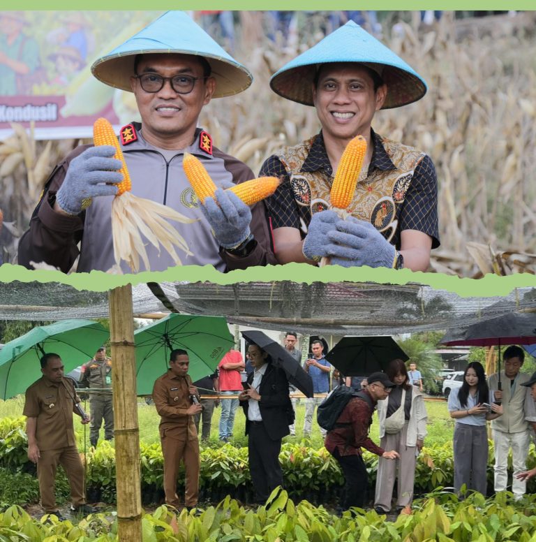 Pemkot Kotamobagu Siapkan Bantuan Bibit Kakao dan Jagung Bagi Poktan di Empat Kecamatan